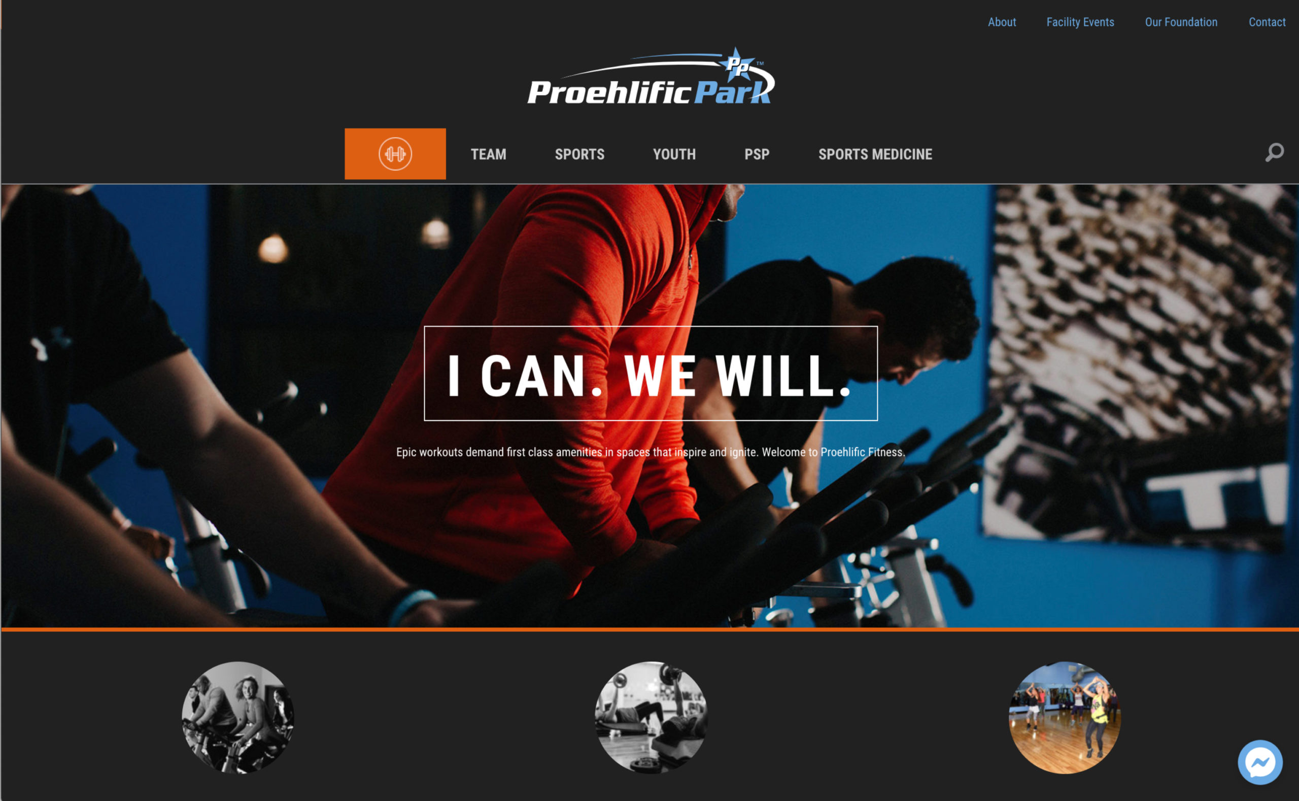 Proehlific Park : Responsive Web Redesign