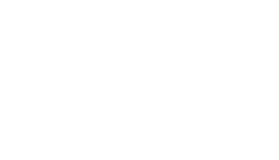 Pyropalooza logo