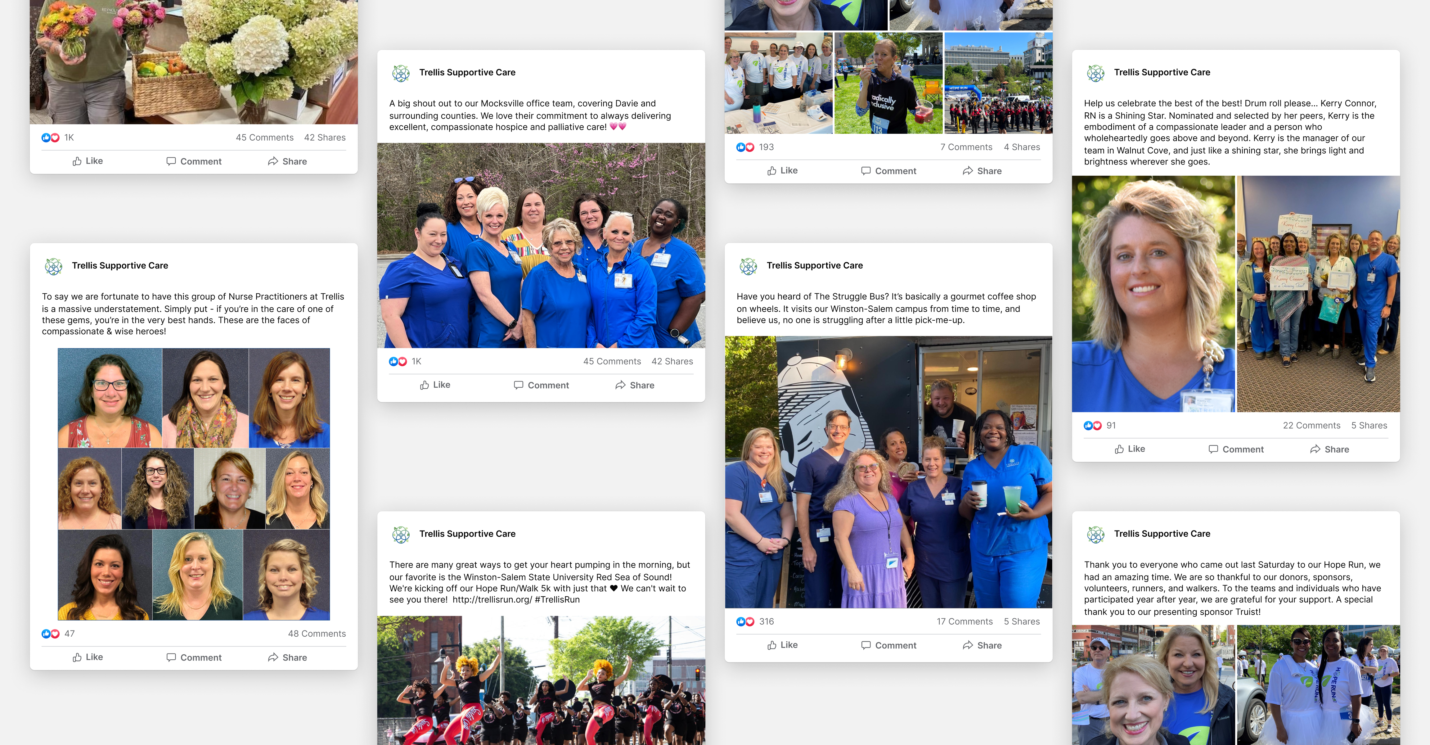 Trellis collage of social media posts