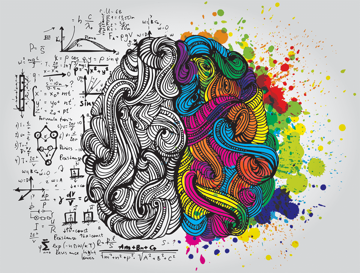 An illustration showing the left and right sides of the brain - to illustrate the art and science of branding