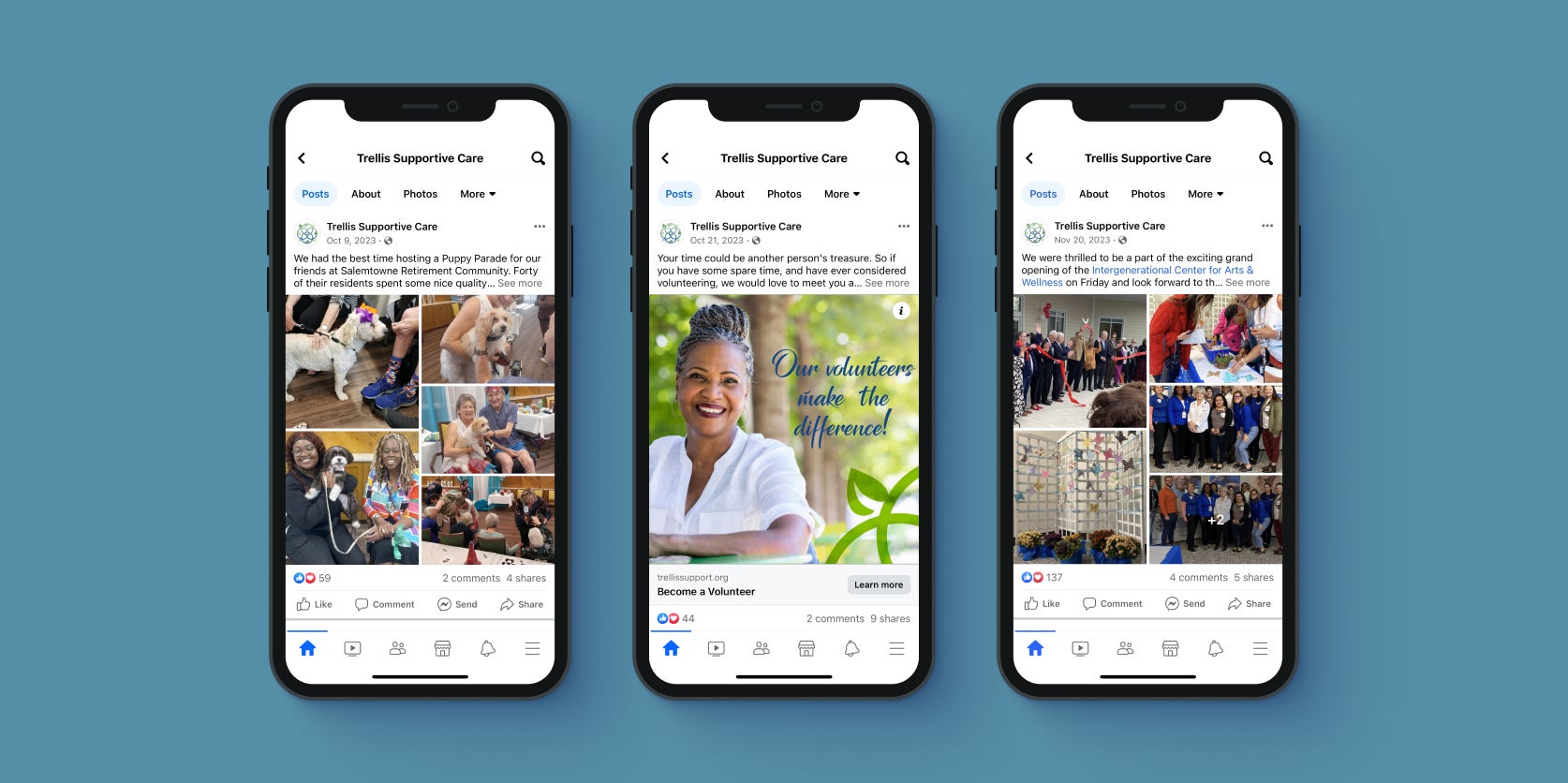 Trellis social media post