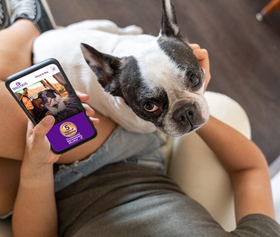 Wellness Pet