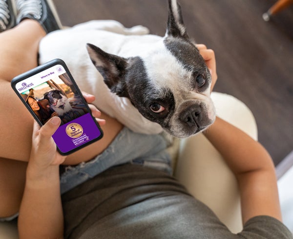 Wellness Pet
