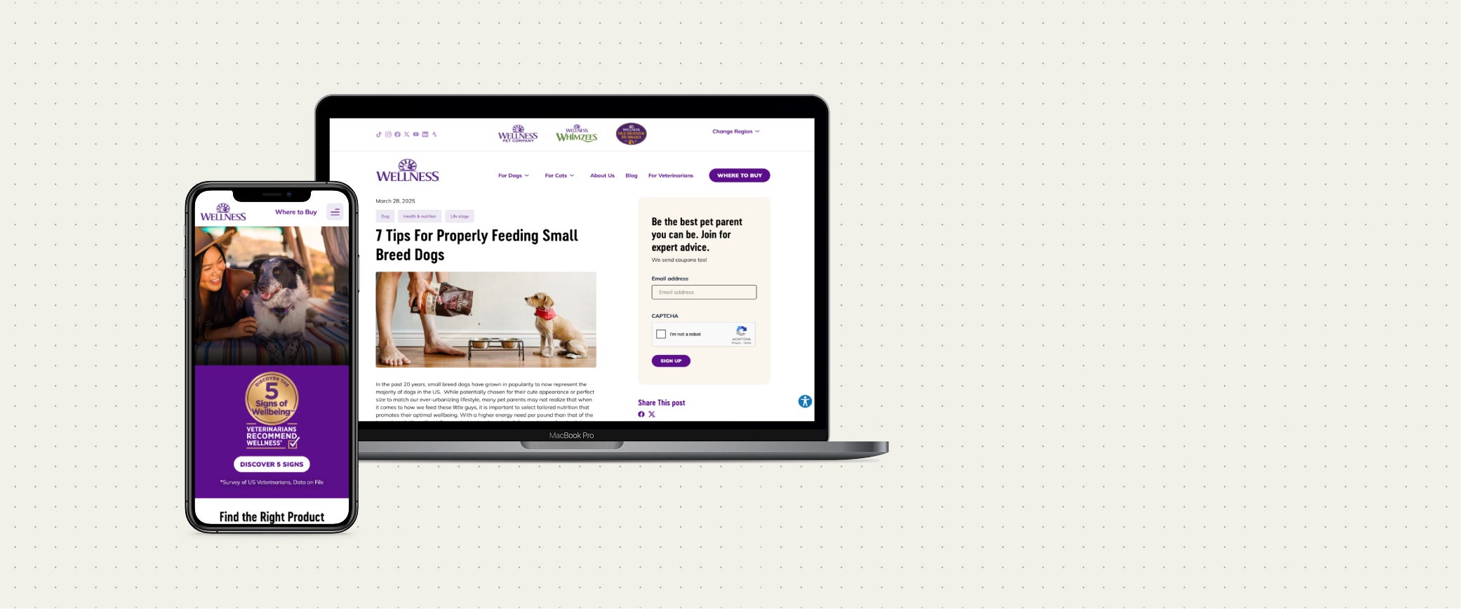 wellness pet food site on computer and phone