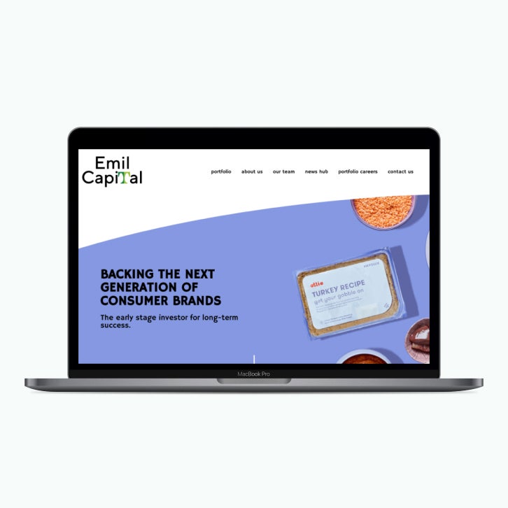 ECP Growth website before changes